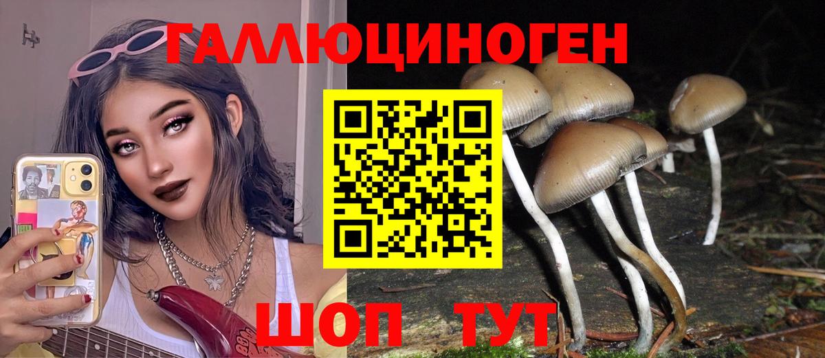 Электрогорск  Галлюциногенные грибы прущие грибы  Вход с VPN 