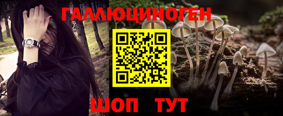 Псилоцибиновые грибы GOLDEN TEACHER Электрогорск